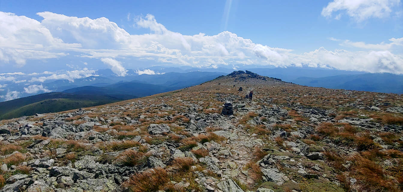 Davis Path.jpg